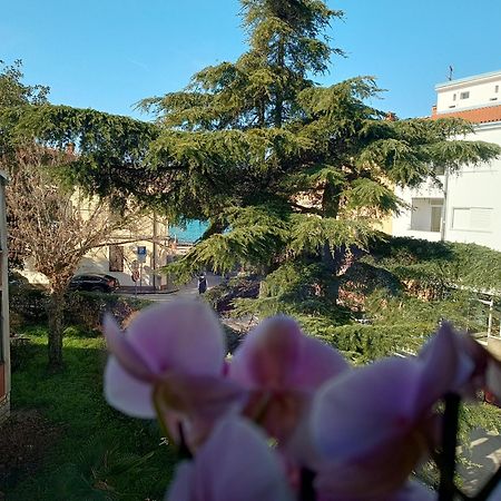 Apartment Luka 파자나 외부 사진