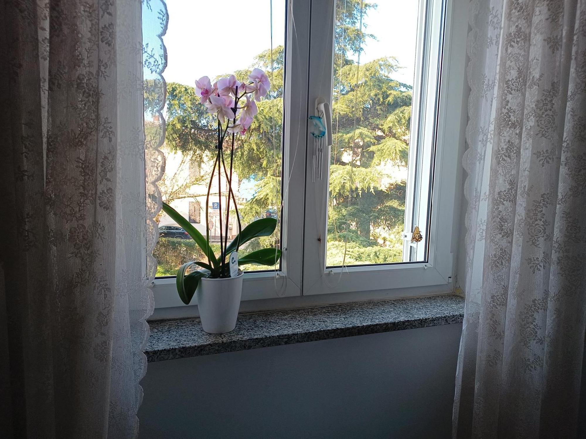 Apartment Luka 파자나 외부 사진